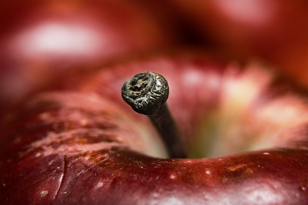 Close up of the top of an apple