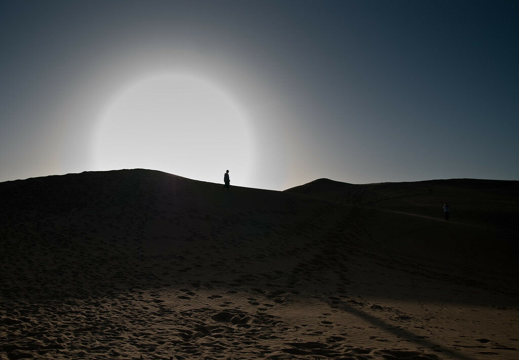 Photo of sun and desert silhouette